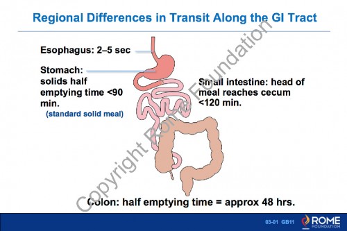 Chapter 03 - Physiology Motility
