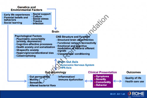Chapter 08 - Psychosocial