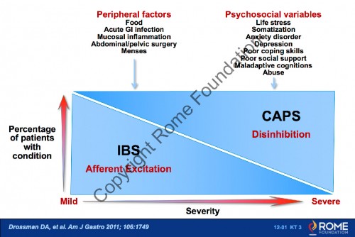 Chapter 12 - FAP CNS