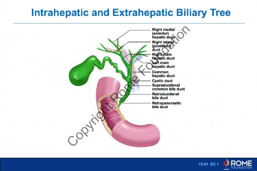 Chapter 13 - Gallbladder and SOO