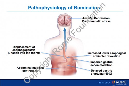 Chapter 16 - Child Adolescent